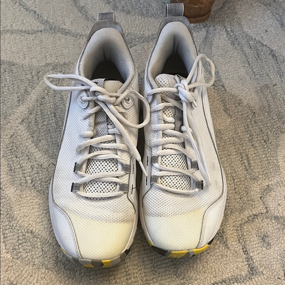Steph Curry Under Armour Beasketball Shoes